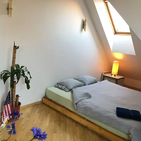 אכסניה Jimmy Jumps House *