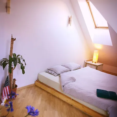 Jimmy Jumps House Hostel Vilnius