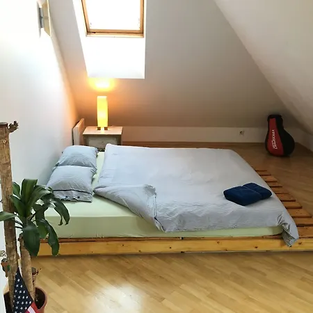Jimmy Jumps House *