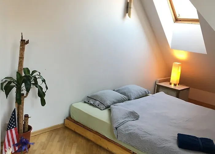 旅馆 吉米跳跃屋旅馆 *