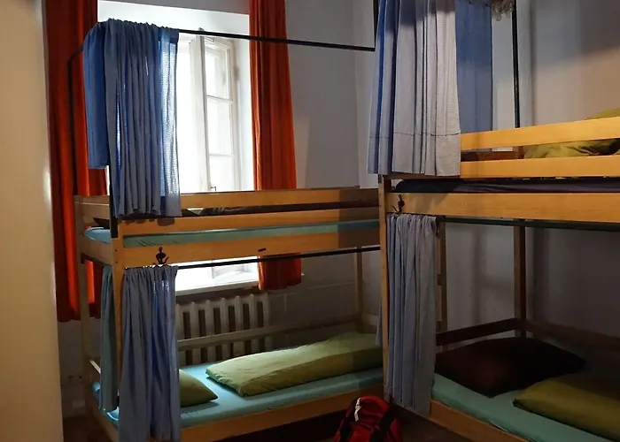 吉米跳跃屋旅馆 *