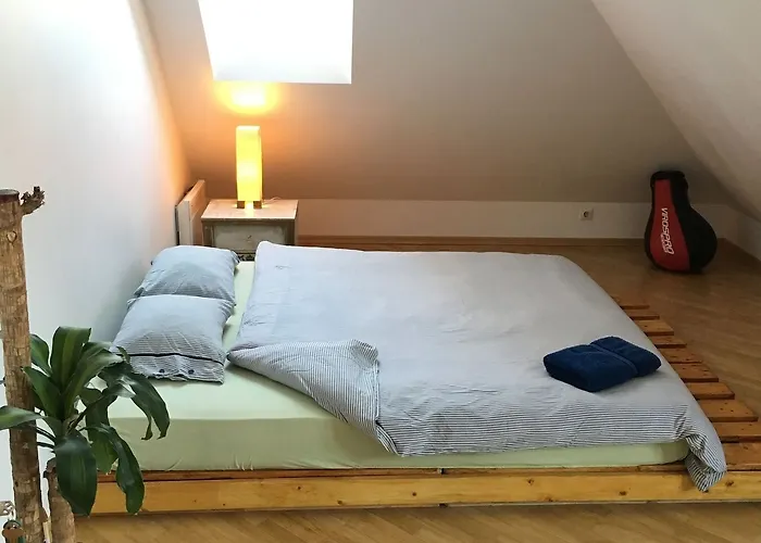 吉米跳跃屋旅馆 *