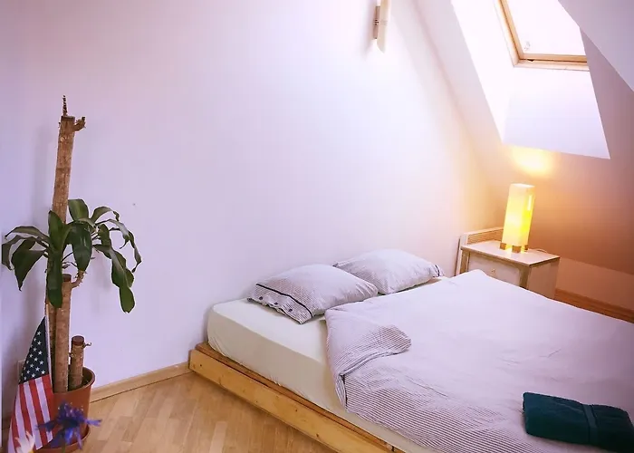 吉米跳跃屋旅馆 旅馆 维尔纽斯